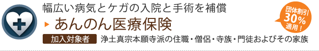 あんのん医療保険