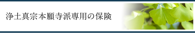 浄土真宗本願寺派専用の保険