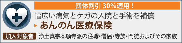 あんのん医療保険