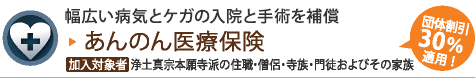 あんのん医療保険